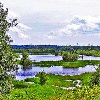 Июнь...Разлив протоки Сырой Аган! :: Владимир 