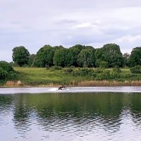 Летний вечер. :: Ольга Довженко Летний вечер. :: Ольга Довженко