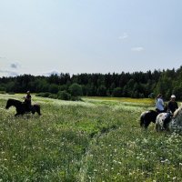 Прогулка в полях. :: Ольга 