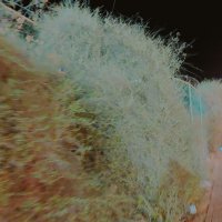 13  ОПЕН (141) :: OPEN WAYS ALL