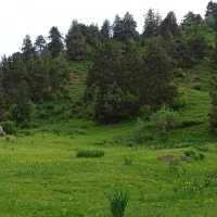 ПО ГОРАМ. :: Виктор Осипчук