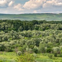 Краснодарский край :: Игорь Сикорский