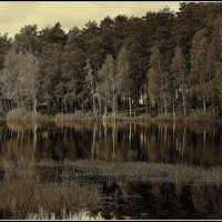 У озера... :: Aleksandr Gal У озера... :: Aleksandr Gal