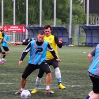 в борьбе за мяч :: Екатерина Шурыгина