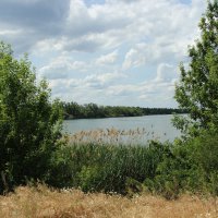 У Дона. :: Виктор 