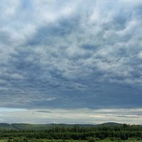 Вечерний свет неуловимый :: Hope 