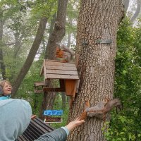 Радость общения :: Виктор 