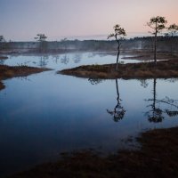 Болотная. Предзакатная. :) :: spr42 ***