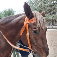 Almaty. :: Murat Bukaev 