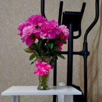 Роскошные пионы, которые невозможно не использовать в различных натюрмортах :: Галина Бобкина Роскошные пионы, которые невозможно не использовать в различных натюрмортах :: Галина Бобкина