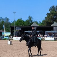 Иппосфера - 2025. Кабардинская порода. :: Ольга 