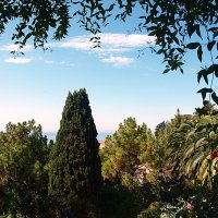 Барселона. :: Владимир Драгунский Барселона. :: Владимир Драгунский