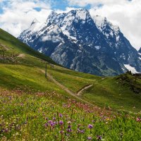 Домбай :: Геннадий Фадеев