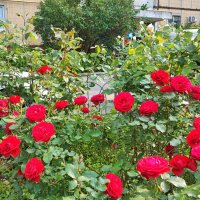 ,,, :: Сергей Тимоновский