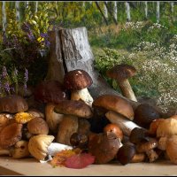 От тихой охоты... :: Aleksandr Gal От тихой охоты... :: Aleksandr Gal