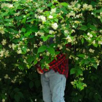 ... :: Елена Сиднина