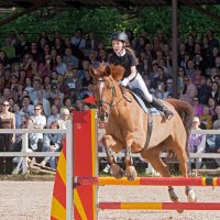 Конкур :: Алексей Смирнов Конкур :: Алексей Смирнов