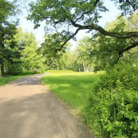 Утренняя пробежка :: Танзиля Завьялова