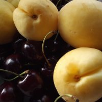 Витамины :: Freddy 97