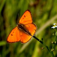 из снятого сегодня 3 :: Александр Прокудин