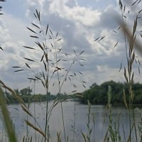 Перед грозой. :: Pippa 