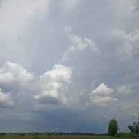 Перед грозой. :: Pippa 