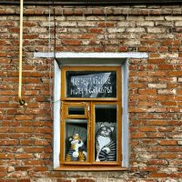 Окна-4 :: Любовь 