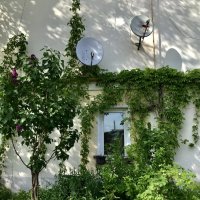 Окна-7 :: Любовь Окна-7 :: Любовь