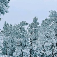 Зимний вечер :: Георгиевич 