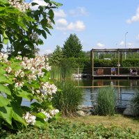 Озеро в парке МЕГА в Аксае :: Татьяна Смоляниченко