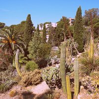 Барселона. :: Владимир Драгунский Барселона. :: Владимир Драгунский