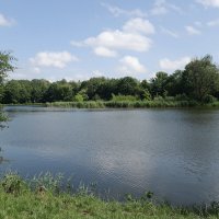 Июньский пейзаж :: Рита Симонова