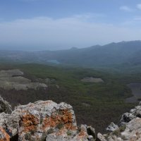 Природа Крыма :: Amazing Cosmea