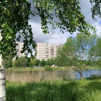 Июньским днём в парке :: Мария Васильева Июньским днём в парке :: Мария Васильева