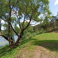 На реке Угре :: Татьяна Тюменка