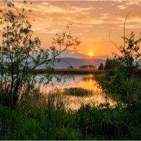 *** :: Алексей Мезенцев