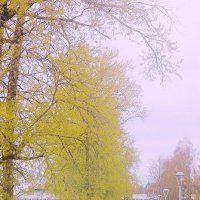 Весенний день :: Сергей Кочнев