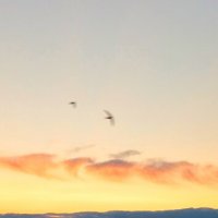 Завтра будет день опять :: Леонид Абросимов