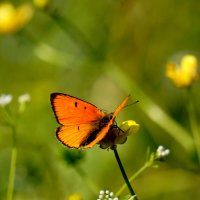 из снятого вчера 3 :: Александр Прокудин из снятого вчера 3 :: Александр Прокудин