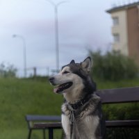 Ярик. :: leff Postnov