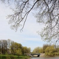 Орловский пруд :: Наталья Герасимова