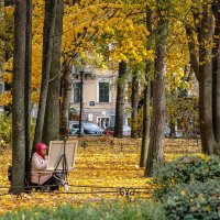 В осеннем сквере :: Константин Бобинский