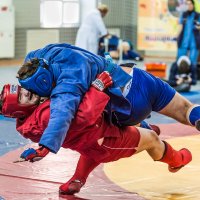 Самбо :: SanSan 