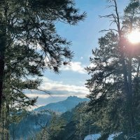 Солнечный день ,будет :: Георгиевич 