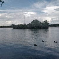 Июньская жара :: Андрей Хлопонин