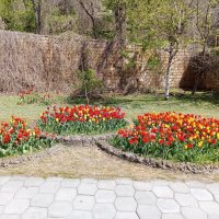 Три "сестрицы" :: Виктор 