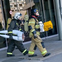 Не то чтобы совсем не спасли... :: Михаил Петрик