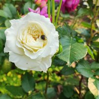 ,,, :: Сергей Тимоновский ,,, :: Сергей Тимоновский