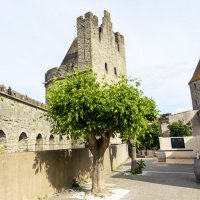 Франция :: Michael M