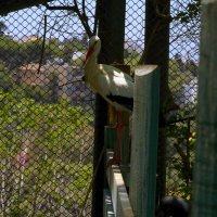 Хайфа 06,2025году :: ujgcvbif 